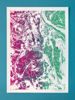 Liquid Screen Print Sérigraphie Arthur Plateau