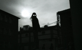 Silver photography Arthur Plateau Photographie Argentique 