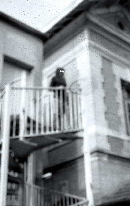 Silver photography Arthur Plateau Photographie Argentique 