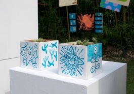 Symbiosis for Synesthesia at the musée Georges-Labit - Nagual - Arthur Plateau