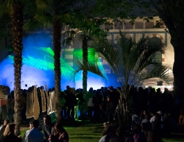 Symbiosis for Synesthesia at the musée Georges-Labit - Nagual - Arthur Plateau 