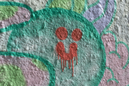 Berlin - Crew - Wall - Arthur Plateau - Graffiti - Street Art - urban art - mural - painting - mur - spray - 