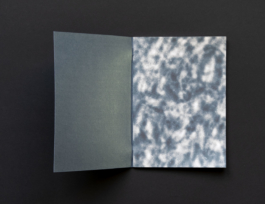 Trash _ New Cult _ arthur plateau _ zine _ fanzine _ microedition _ micro edition _ small press _ self publishing _ visual art _ illustration _ graphic _ dark _ waow 