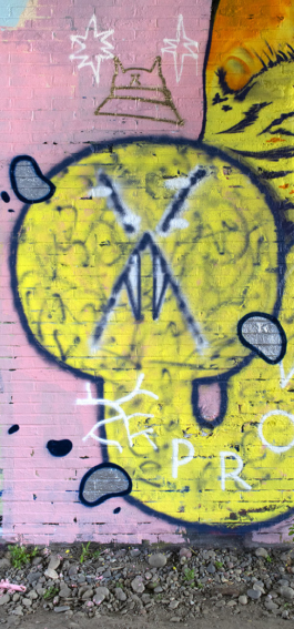 arthur plateau _ mural _ graffiti _ wall _ street art _ urbain _ toulouse _ jam _ el moot moot _ virginie contier _ kput _ snake _ 