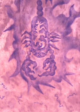 Zoom Drapeaux Errants 