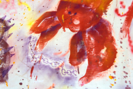 Zoom Drapeaux Errants 