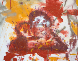 Zoom Drapeaux Errants 