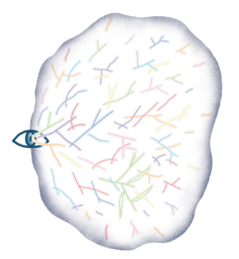 Illustration pour le journal L'empaillé. 