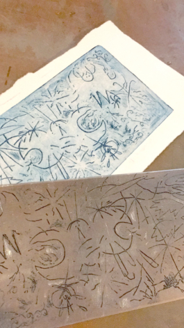 Structures Rhizomiques 