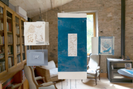 Structures Rhizomiques 