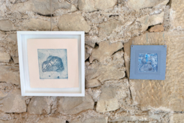 Structures Rhizomiques 