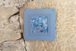 Structures Rhizomiques 