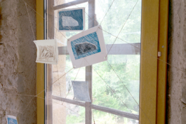 Structures Rhizomiques 