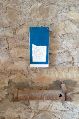 Structures Rhizomiques 