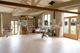 Structures Rhizomiques 