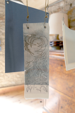 Structures Rhizomiques 