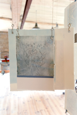 Structures Rhizomiques 