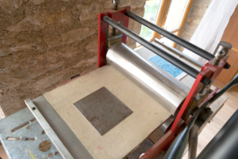 Structures Rhizomiques 