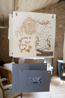 Structures Rhizomiques 