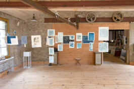 Structures Rhizomiques 