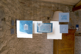 Structures Rhizomiques 