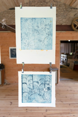 Structures Rhizomiques 