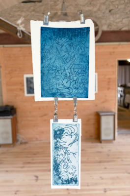 Structures Rhizomiques 