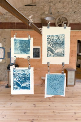 Structures Rhizomiques 