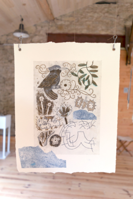 Structures Rhizomiques 