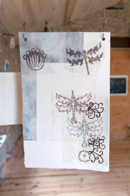 Structures Rhizomiques 