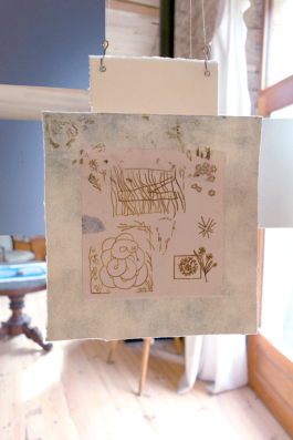 Structures Rhizomiques 