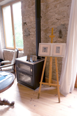 Structures Rhizomiques 