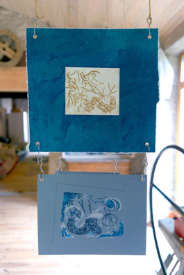 Structures Rhizomiques 