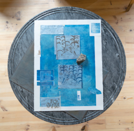 Structures Rhizomiques 