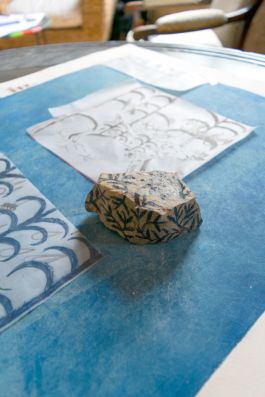 Structures Rhizomiques 