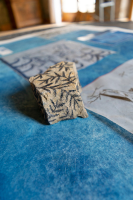 Structures Rhizomiques 