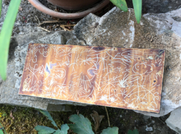 Structures Rhizomiques 