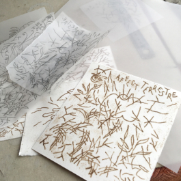 Structures Rhizomiques 