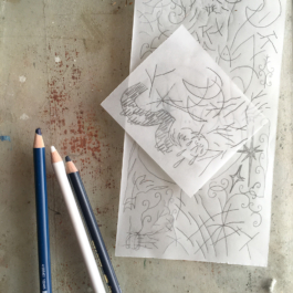 Structures Rhizomiques 