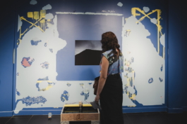 Vernissage - L'île heureuse @CD31-Alexandre Ollier (83) 